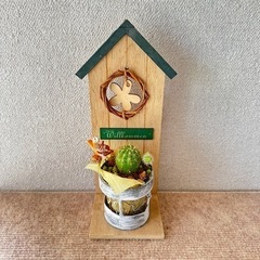 サボテン