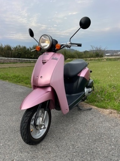 TODAY AF61 ピンク