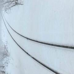 旅の代好きな大人の友達