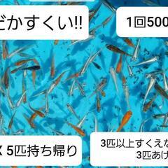 横山不動尊春祭り - 登米市
