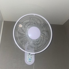 【7日日曜千石受渡限定】扇風機