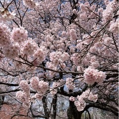 4月6日 今からなにかしませんか？