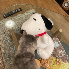 スヌーピーぬいぐるみ