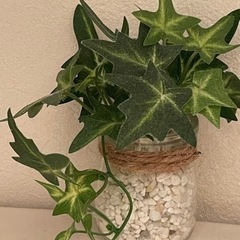 【非対面可】フェイクグリーン① 観葉植物　造花