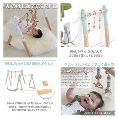 HOPPL ベビージムの画像