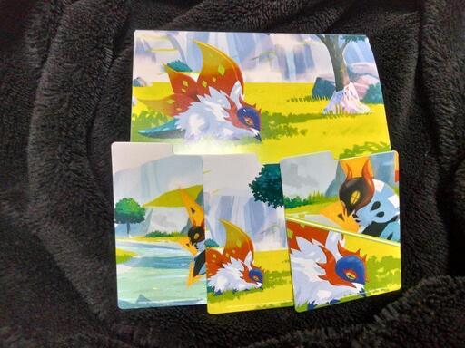 ポケモンカード　サプライ