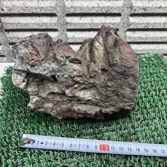 赤石　盆栽石　水槽石　水玉　コレクション　箱庭　の画像