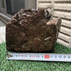 赤石　盆栽石　水槽石　水玉　コレクション　箱庭　の画像