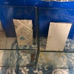 エーハイム　水槽　底面正方形30センチ角、高さ60センチ水槽の画像