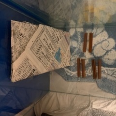 エーハイム　水槽　底面正方形30センチ角、高さ60センチ水槽の画像