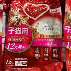 キャットフード　4.5 kg 子猫用　猫の餌の画像