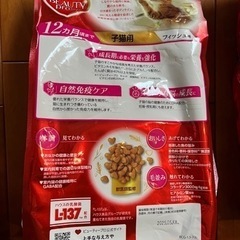 キャットフード　4.5 kg 子猫用　猫の餌の画像