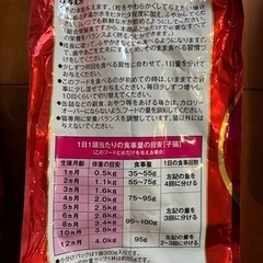 キャットフード　4.5 kg 子猫用　猫の餌の画像