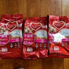 キャットフード　4.5 kg 子猫用　猫の餌の画像