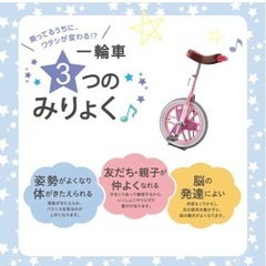 美品★ブリヂストン(BRIDGESTONE) スケアクロウ 子供用 一輪車の画像