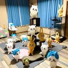 バルーンプロコースの画像