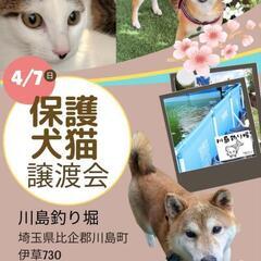 犬猫譲渡会のお知らせ（2024/04/06投稿）