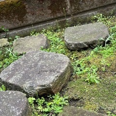 庭石