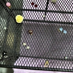 ピアスの画像