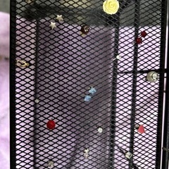 ピアス