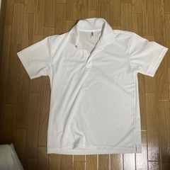 レディースＭサイズポロシャツ
