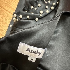 Andy 高級ドレスの画像