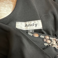 Andy 高級ドレスの画像