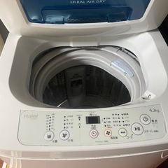 家電 生活家電 洗濯機