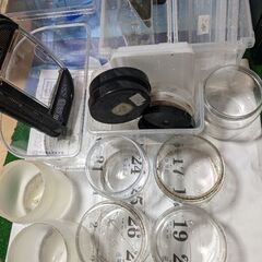 昆虫　引退品