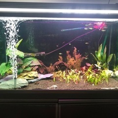 90cm×45cm×50cm水槽と水槽台セット