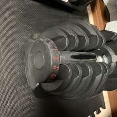 可変式ダンベル　　40kg✖️2の画像