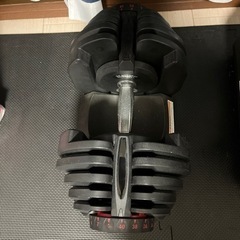可変式ダンベル　　40kg✖️2の画像