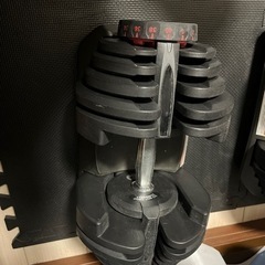 可変式ダンベル　　40kg✖️2の画像