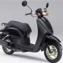 バイク HONDA トゥデイの画像