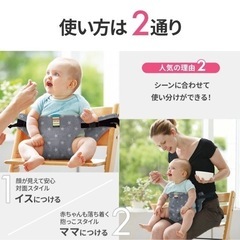 キャリフリー　チェアベルトの画像