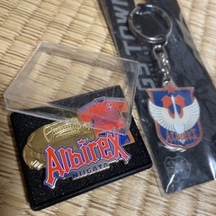 アルビレックス新潟グッズ