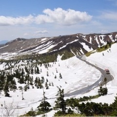 志賀草津高原道路開通雪の回廊ツーリング - その他