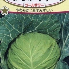 野菜の種