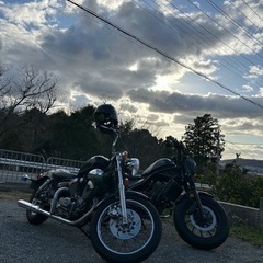 交換可能 ビラーゴ250 の画像