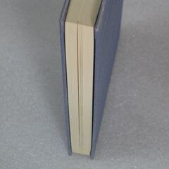 七政星学 佐藤六龍の画像