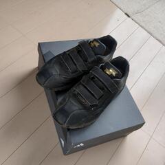 スポーツ 野球