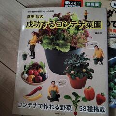 ベランダでつくるはじめてのヤサイ✨の画像