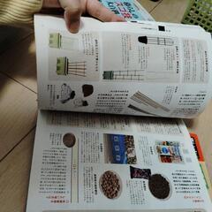 ベランダでつくるはじめてのヤサイ✨の画像