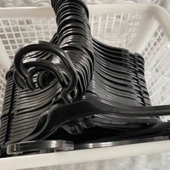 生活雑貨 洗濯用品 ハンガー