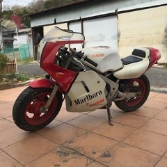 ヤマハ　YSR50   不動車の画像