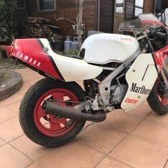 ヤマハ　YSR50   不動車の画像