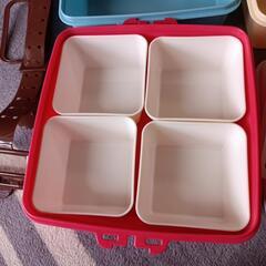 ピクニックケース（調整ベルト付)の画像