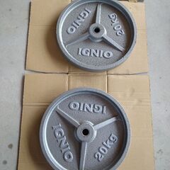 IGNIO　イグニオ　２８mmプレート　20kg２枚　バーベル