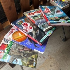 図鑑セット