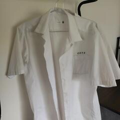 服/ファッション シャツ メンズ